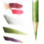 botanical illustration art drawing basic getting started wendy hollender pencil