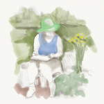 botanical drawing illustration wendy hollender